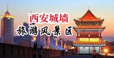 妓女骚逼中国陕西-西安城墙旅游风景区